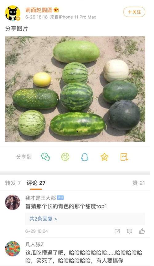 最新爆料的新瓜,新瓜爆料，娱乐圈惊天大事件再掀波澜！